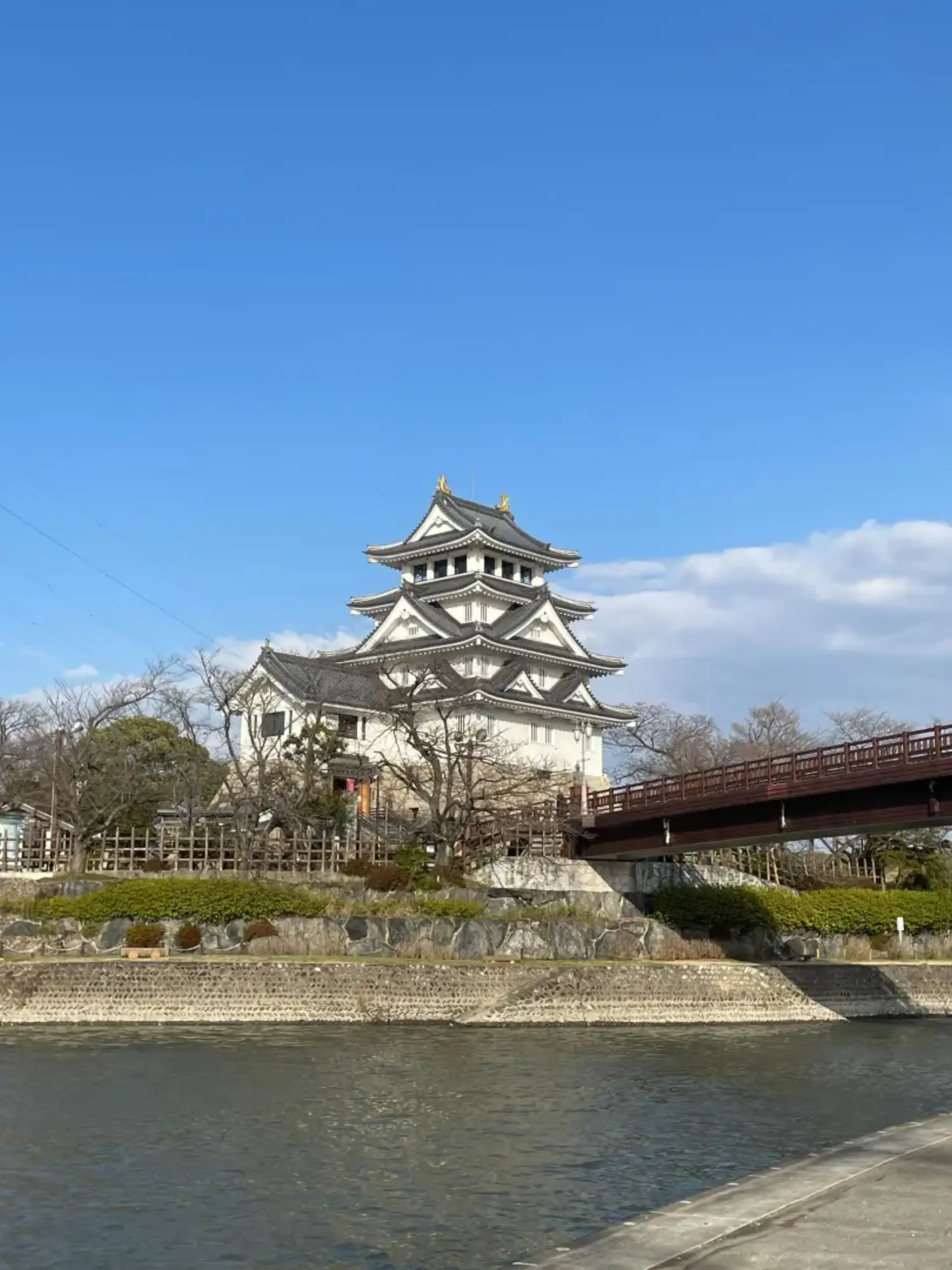 IMG_6108.jpg (1.1 MB)