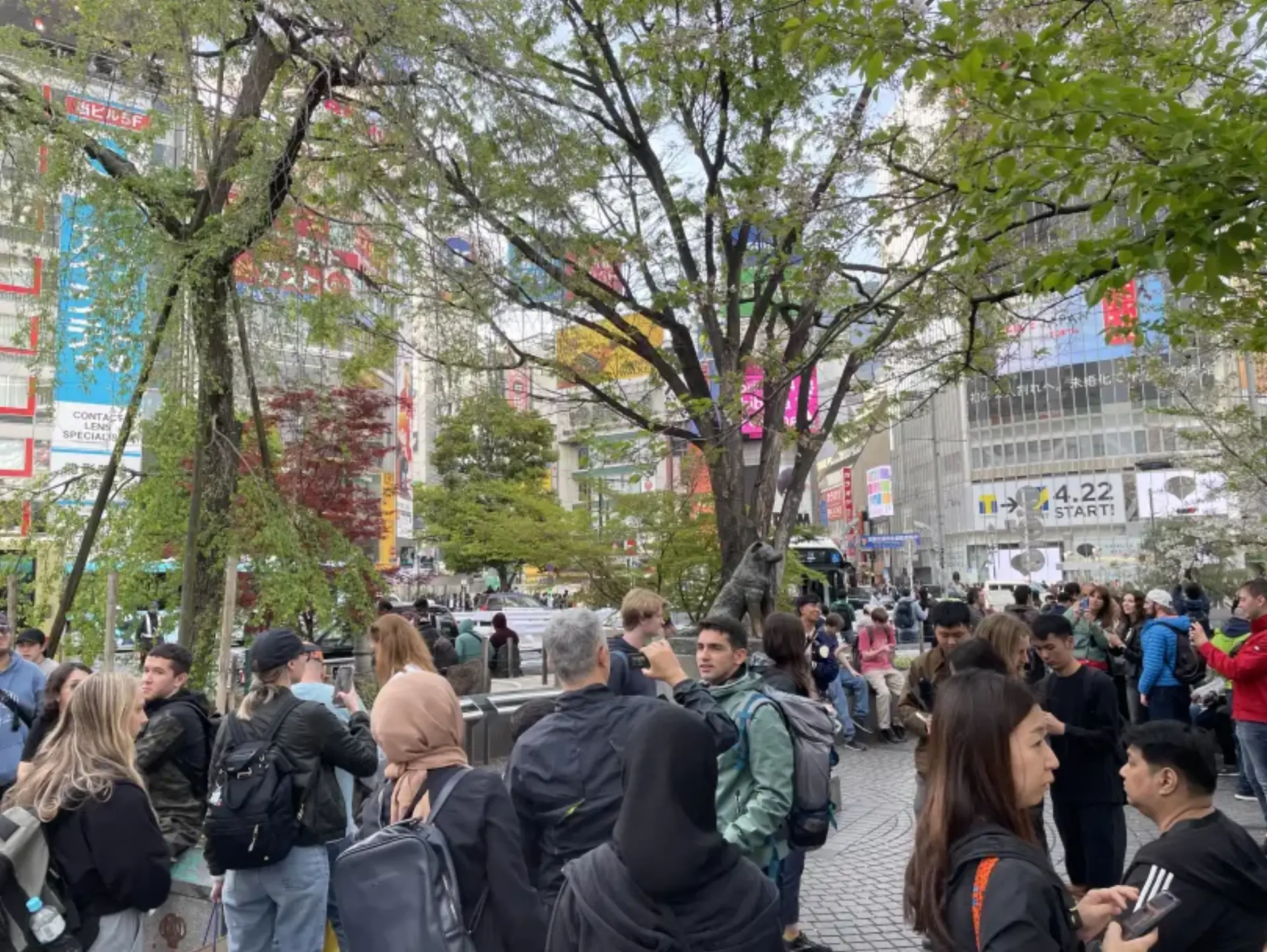 IMG_6531.JPG (7.1 MB)